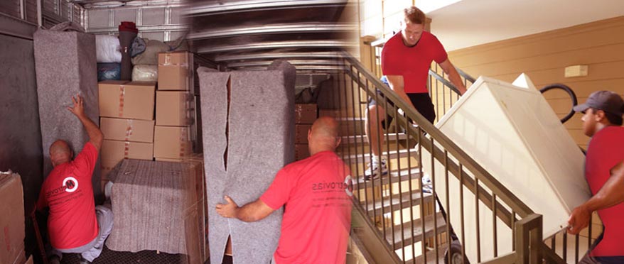 House removals to Belgium